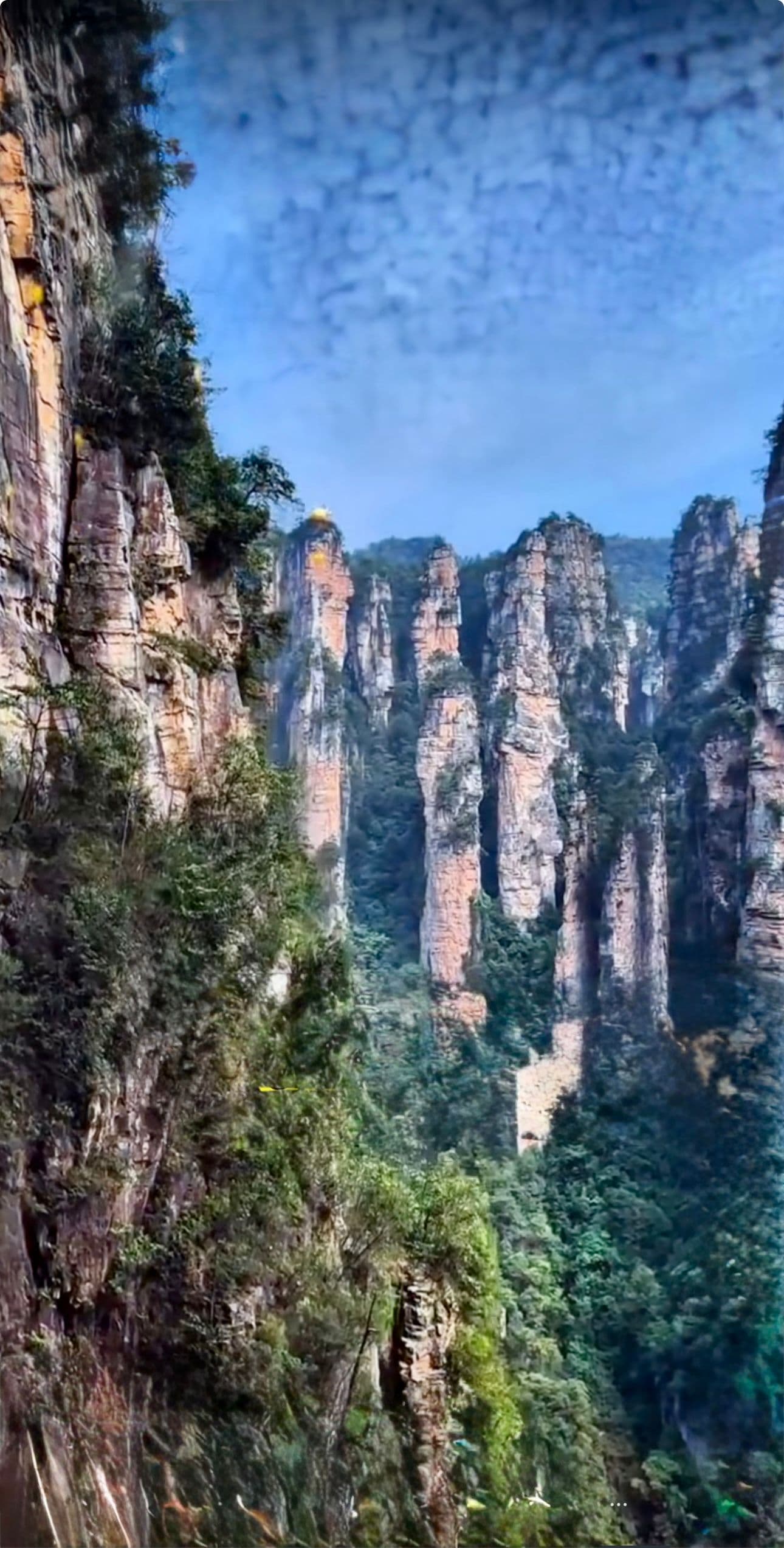 Tesoros de China gallery image 226