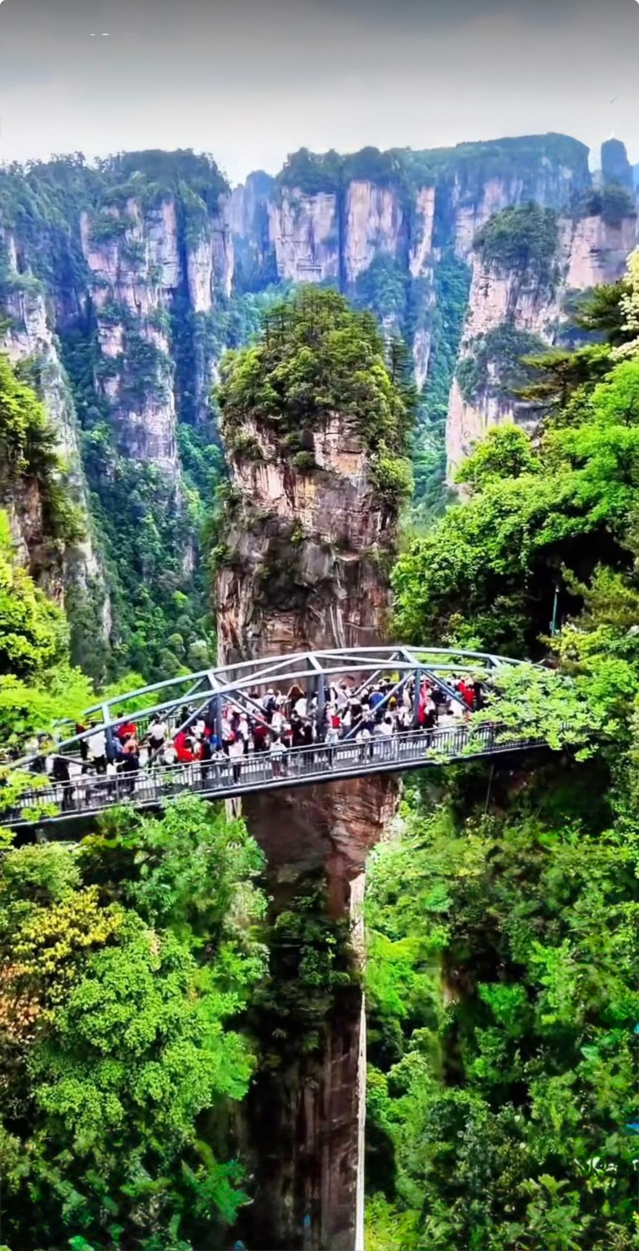 Tesoros de China gallery image 230