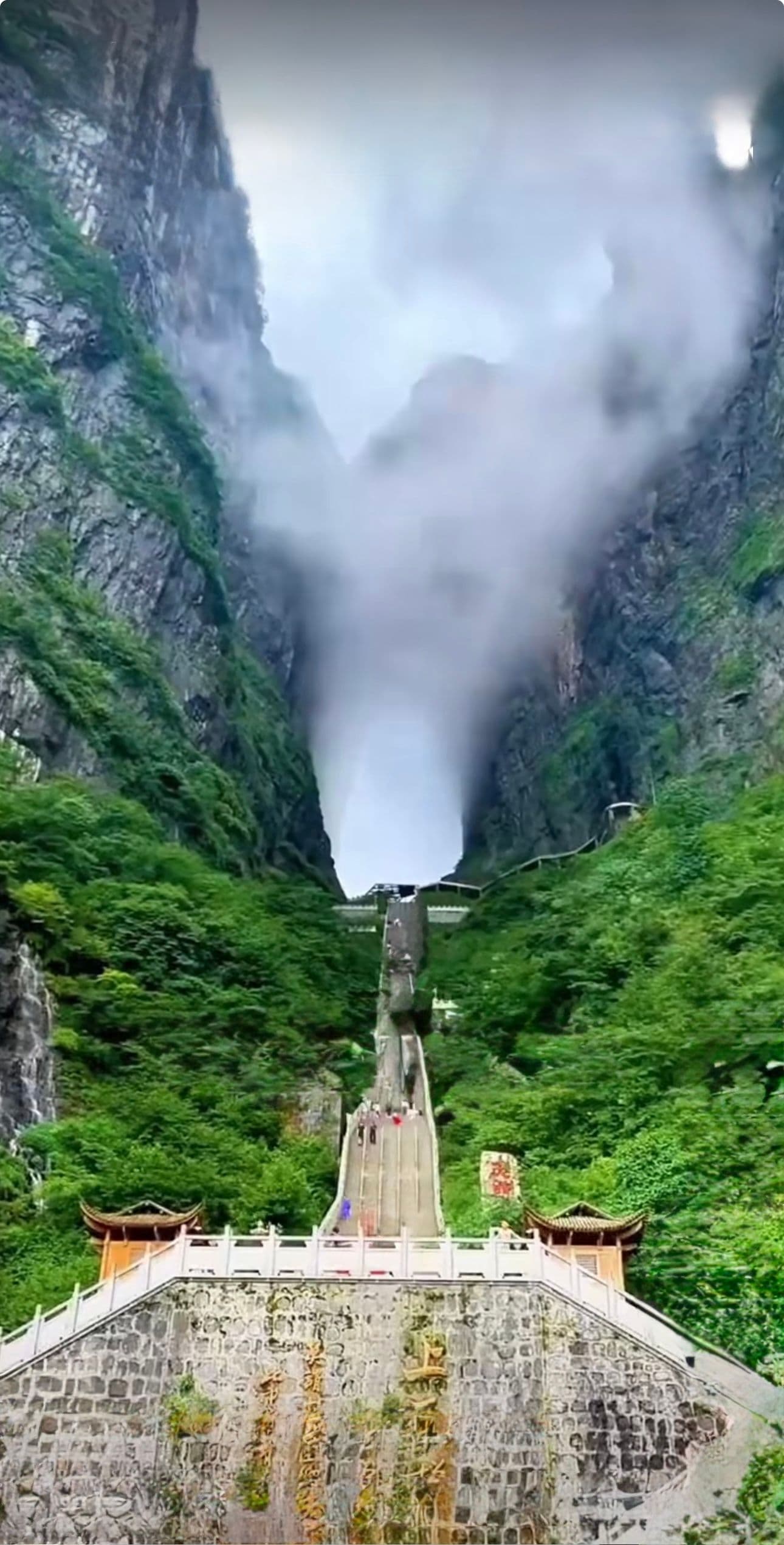 Tesoros de China gallery image 229