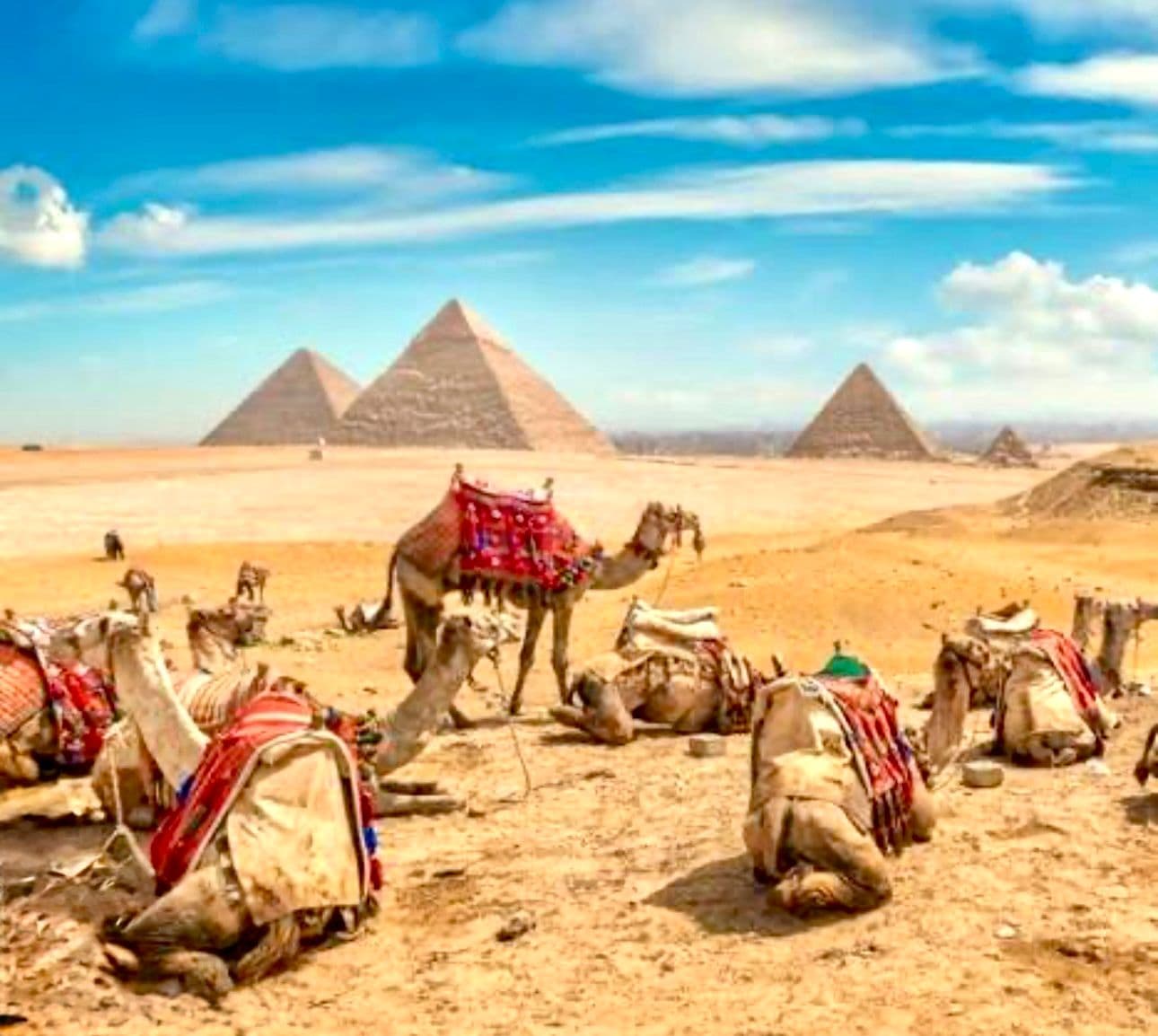 Egipto y full Dúbai gallery image 246