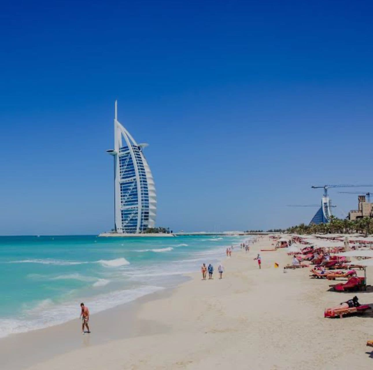 Egipto y full Dúbai gallery image 255