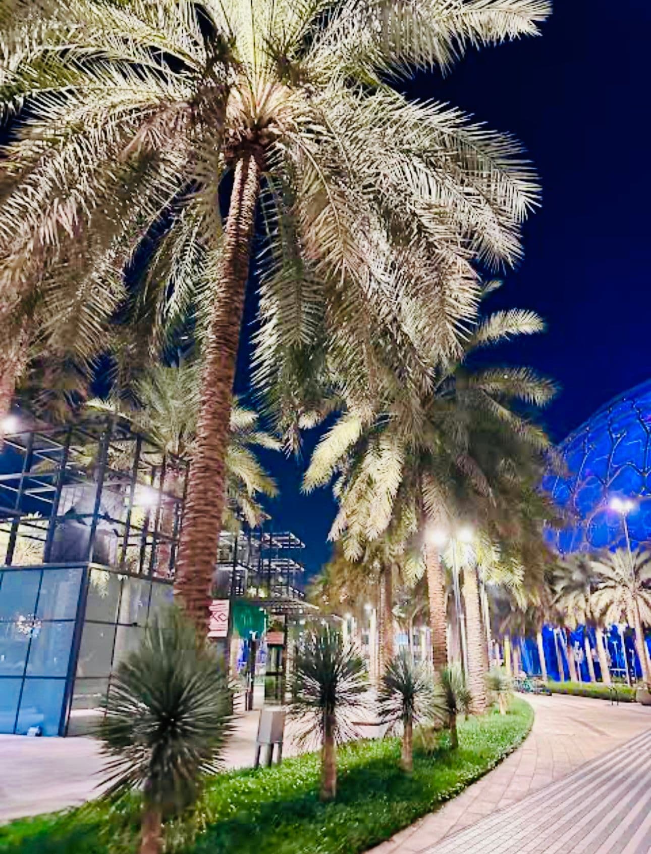 Egipto y full Dúbai gallery image 260